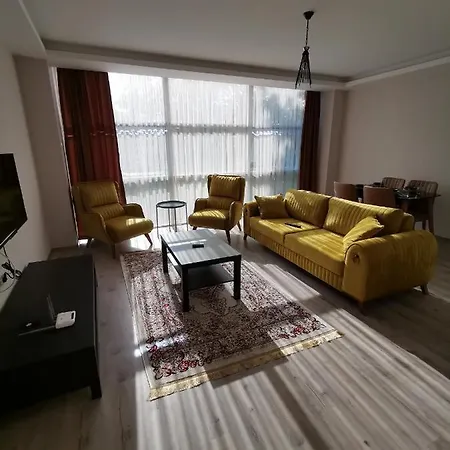 Park Suites *
